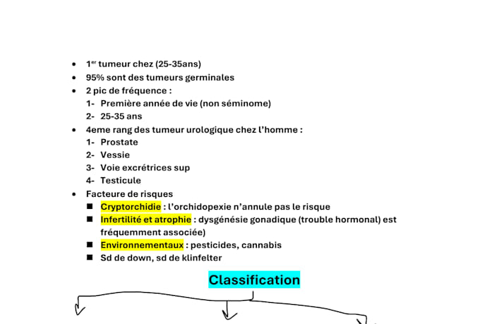 summarize your lecture notes into easy to study PDF notes